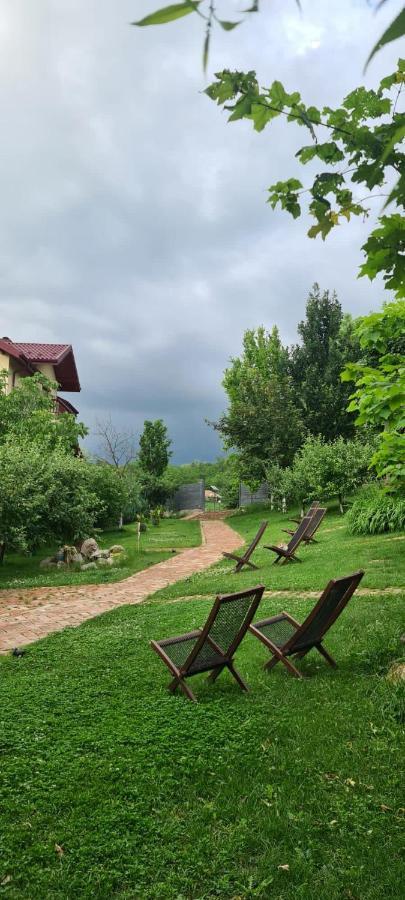 Enpi Lake Resort Jászvásár Kültér fotó